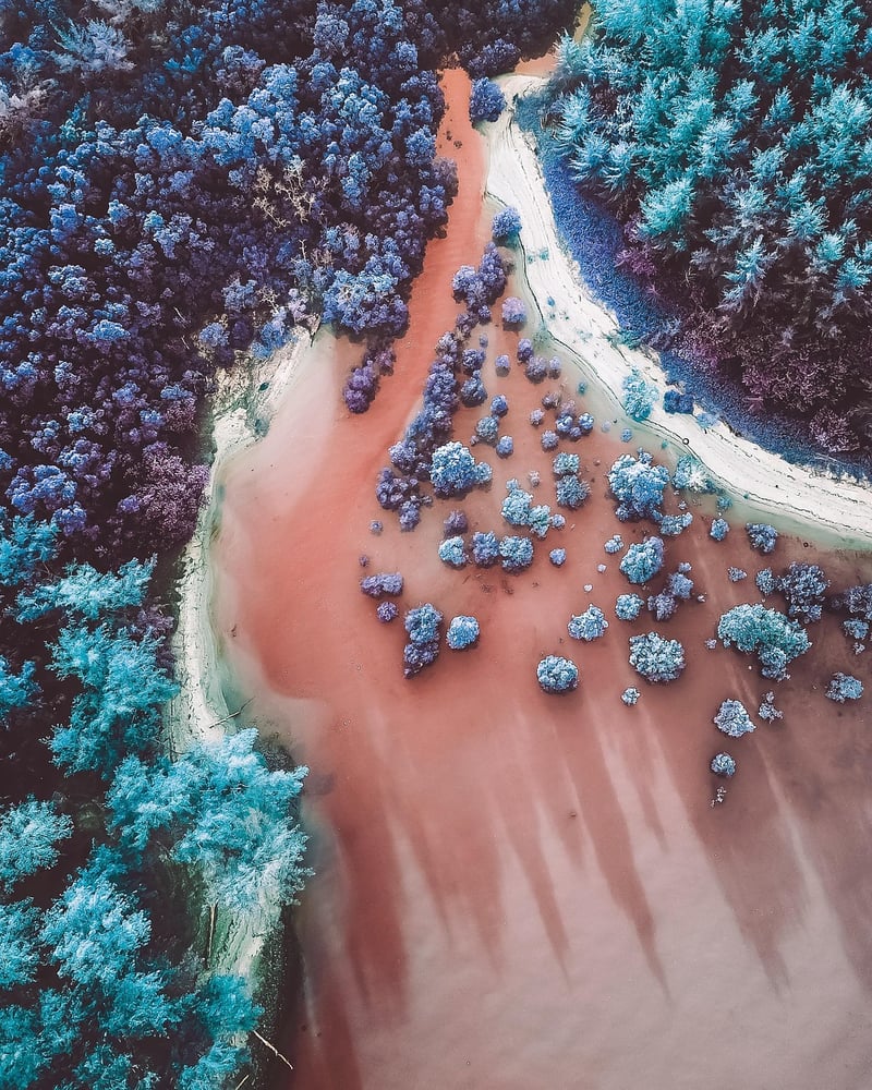 Whimsical landscapes